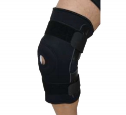 Hinged knee support