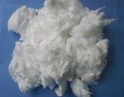 Absorbent Cotton in Bulk