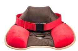 Seat cushion with belt
